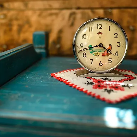 Cuibul De La Mare بيت ضيافة 3*