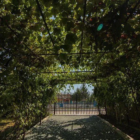 Cuibul De La Mare 3*