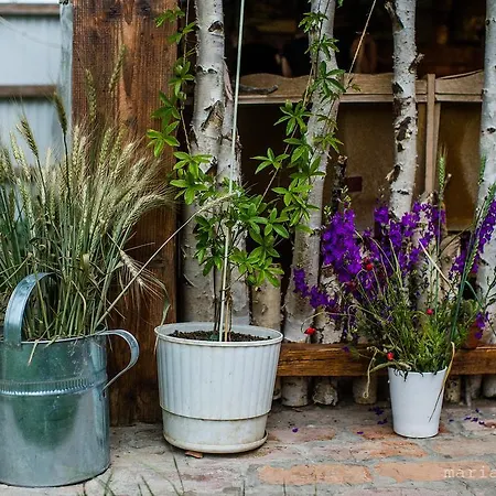 Cuibul De La Mare 3*