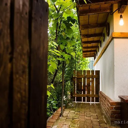 Cuibul De La Mare بيت ضيافة كوربو