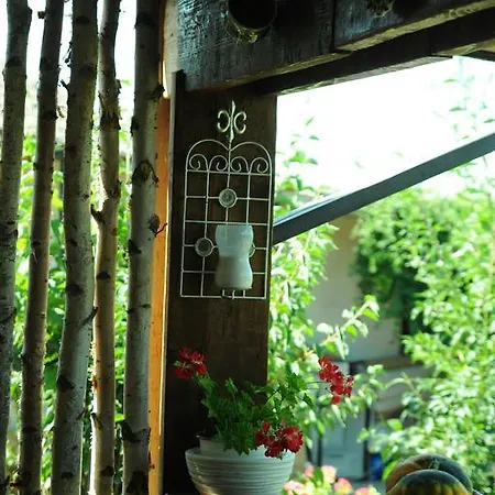 Cuibul De La Mare Casa de hóspedes Corbu (Constanta)