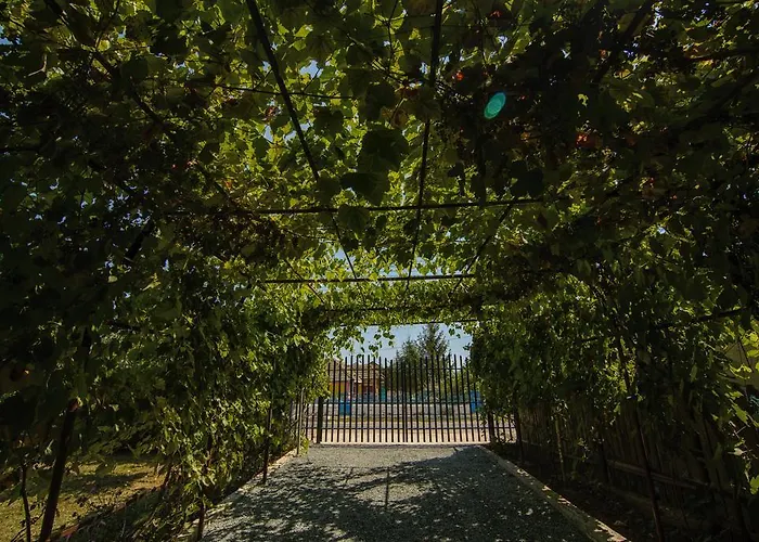 Cuibul De La Mare 3*