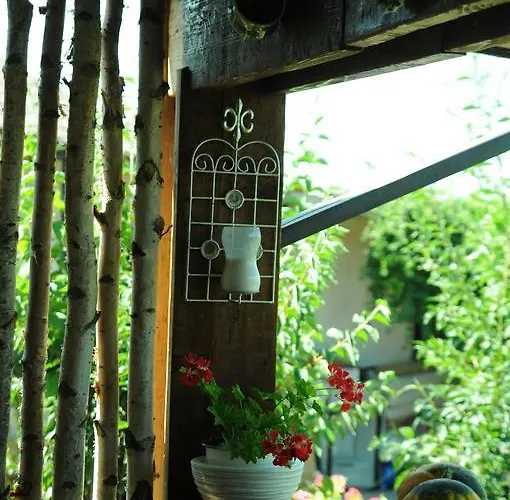 Cuibul De La Mare Maison d'hôtes Corbu (Constanta)